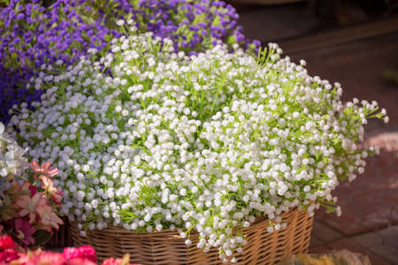 decorative artificial flowersの写真素材
