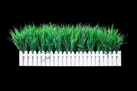 artificial plants in wooden white pots isolated on black backgroundの写真素材