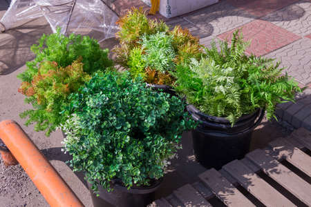 decorative artificial flowersの写真素材