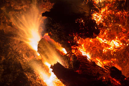 Bright sparkling coals with fire as backgroundの写真素材