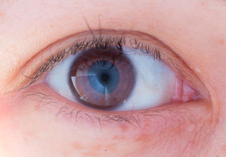 Human eye medical detailの写真素材