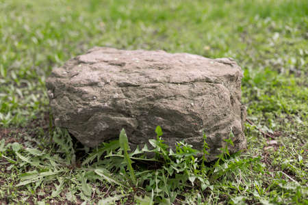 big stone on grass backgroundの写真素材