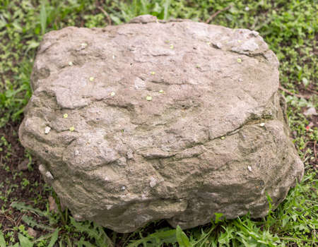big stone on grass backgroundの写真素材