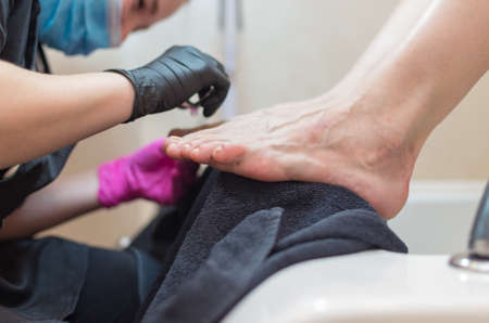 women doing pedicure in the salon. Beauty conceptの写真素材