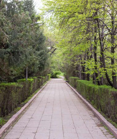 pedestrian paved alleyの写真素材