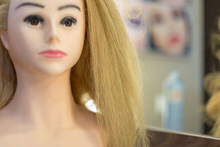 Training hairstyles on a mannequinの写真素材