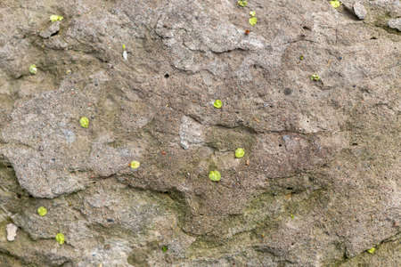abstract stone backgroundの写真素材