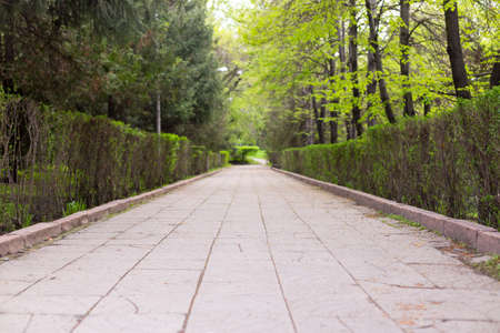 pedestrian paved alleyの写真素材