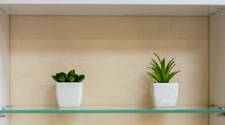 mini decorative flowers on a small ceramic cupの写真素材