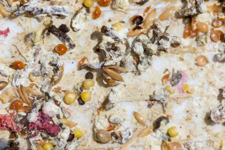 grain background parrot food bird food