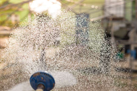 Watering the Garden. Hand holding water sprinkler watering the gardenの写真素材
