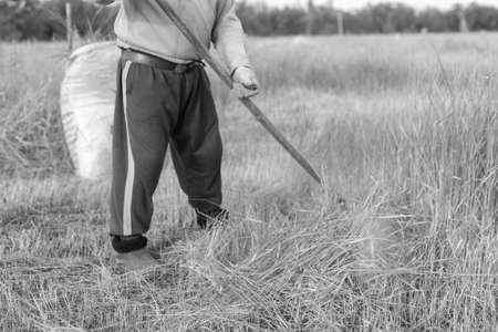 Farmer mowing grass traditional way with hand scytheの写真素材