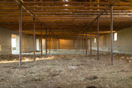 in a winter cattle shedの写真素材