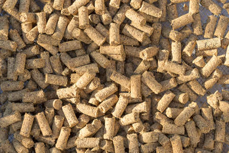 Close-up macro filler for cat pet pet toilet. Pressed wood sawdust egology clean, no smell for the house, the animal goes to the toilet.の写真素材