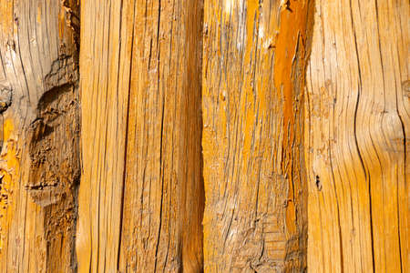 wood texture painted yellow with paintsの写真素材