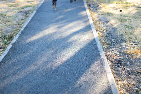 sidewalk, asphalt pavement along the roadの写真素材
