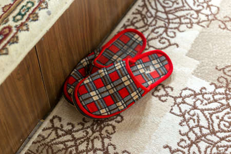 red slipper on a brown rug, rug softness of textured decorated floor, home interiorの写真素材