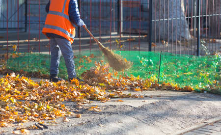 A cleaning lady cleans the dead side of the maple leaves from the sidewalk.の写真素材