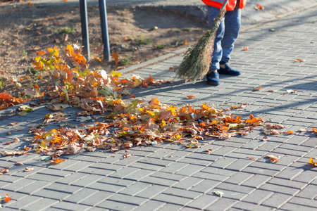 A cleaning lady cleans the dead side of the maple leaves from the sidewalk.の写真素材
