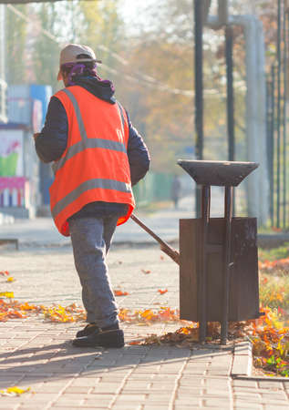 A cleaning lady cleans the dead side of the maple leaves from the sidewalk.の写真素材