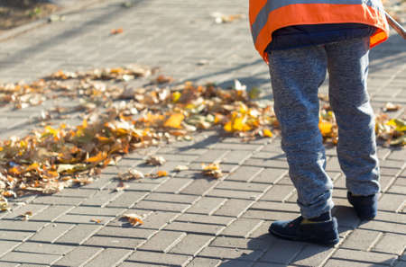 A cleaning lady cleans the dead side of the maple leaves from the sidewalk.の写真素材