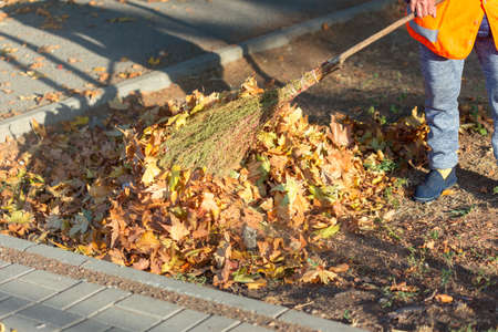 A cleaning lady cleans the dead side of the maple leaves from the sidewalk.の写真素材