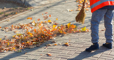 A cleaning lady cleans the dead side of the maple leaves from the sidewalk.の写真素材
