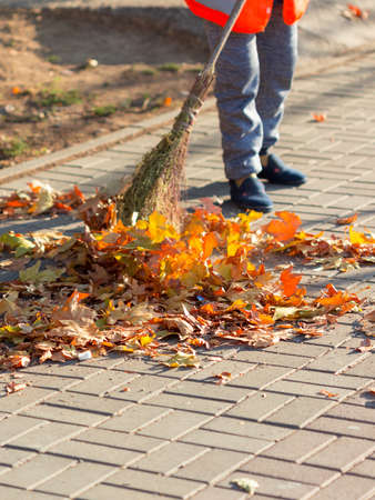A cleaning lady cleans the dead side of the maple leaves from the sidewalk.の写真素材