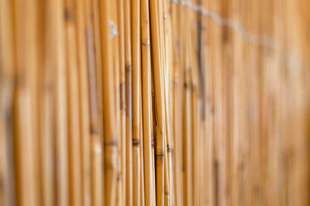Cane background. Traditional bamboo cane fence. Asian styleの写真素材