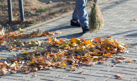 A cleaning lady cleans the dead side of the maple leaves from the sidewalk.の写真素材
