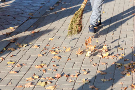 A cleaning lady cleans the dead side of the maple leaves from the sidewalk.の写真素材