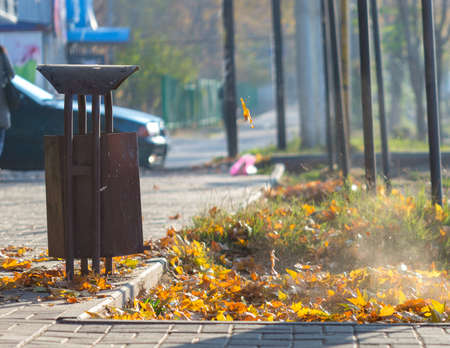 Colorful fallen leaves on the sidewalk next to the trash can on a warm autumn day.の写真素材