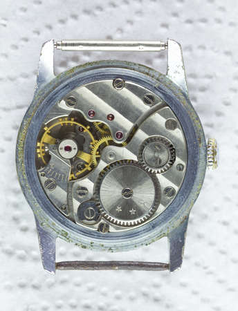 Wristwatch on a white backgroundの写真素材