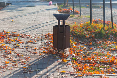 Colorful fallen leaves on the sidewalk next to the trash can on a warm autumn day.の写真素材