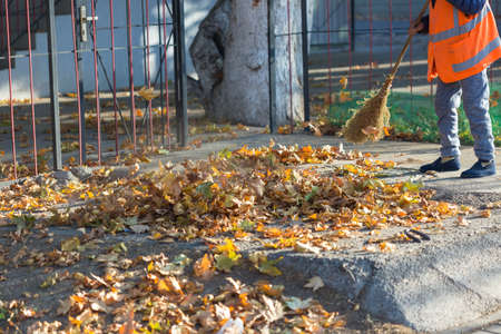 A cleaning lady cleans the dead side of the maple leaves from the sidewalk.の写真素材