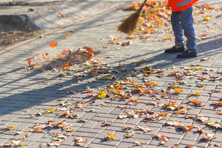 A cleaning lady cleans the dead side of the maple leaves from the sidewalk.の写真素材