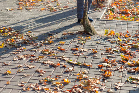 A cleaning lady cleans the dead side of the maple leaves from the sidewalk.の写真素材