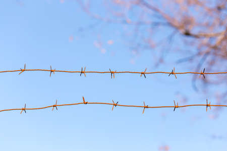 Barbed wire fence. Let. Prison. Spikes. Block. Prisoner.の写真素材