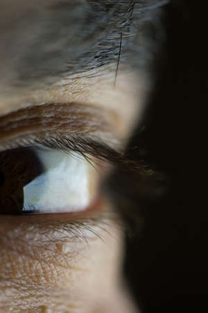 Macro image of a brown eyeの写真素材