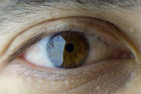 Macro image of a brown eyeの写真素材