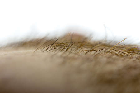 Bearded young man, stubble near. Unshaven more than a week. Hair on the face of a man, a short beard.の写真素材