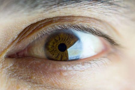 Macro image of a brown eyeの写真素材