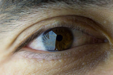 Macro image of a brown eye