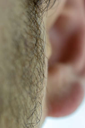 Bearded young man, stubble near. Unshaven more than a week. Hair on the face of a man, a short...