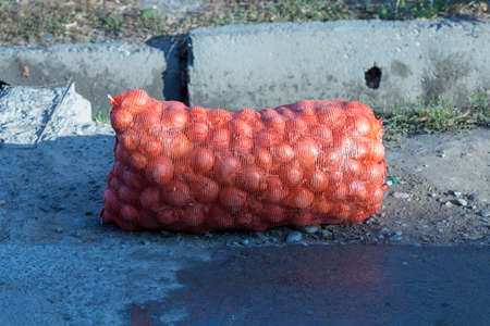 onions, onion paintings, onions and vegetables in large netsの写真素材
