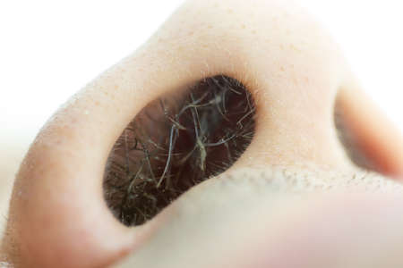 Hair in the male nose close-up.の写真素材
