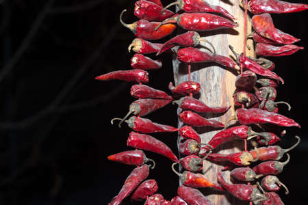 red chili peppers hanging on a wooden post on a black background