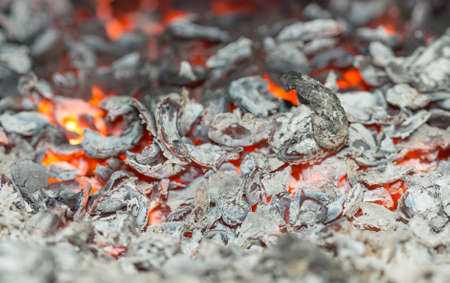 Texture embers closeup. Embers after a fire.の写真素材