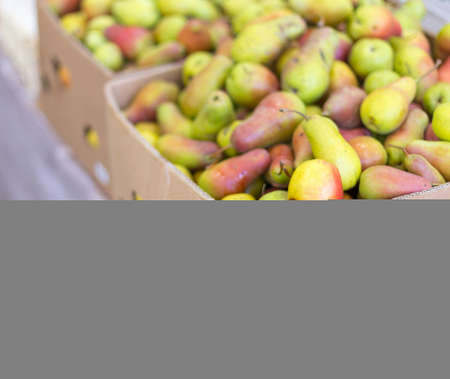 different fruits in the supermarketの写真素材
