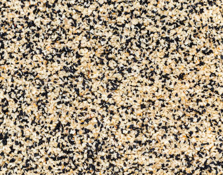 abstract background of fried sesame seeds and caraway seedsの写真素材